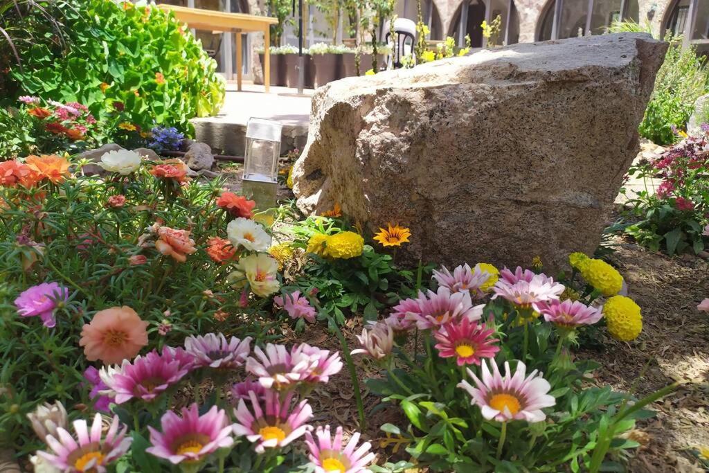 דירות Eilat stone - Patio אבן אילת - פטיו מראה חיצוני תמונה
