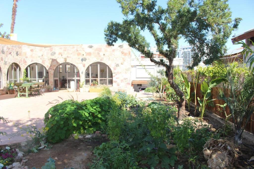 דירות Eilat stone - Patio אבן אילת - פטיו מראה חיצוני תמונה