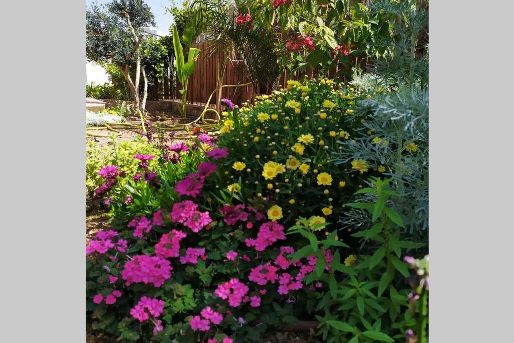 דירות Eilat stone - Patio אבן אילת - פטיו מראה חיצוני תמונה